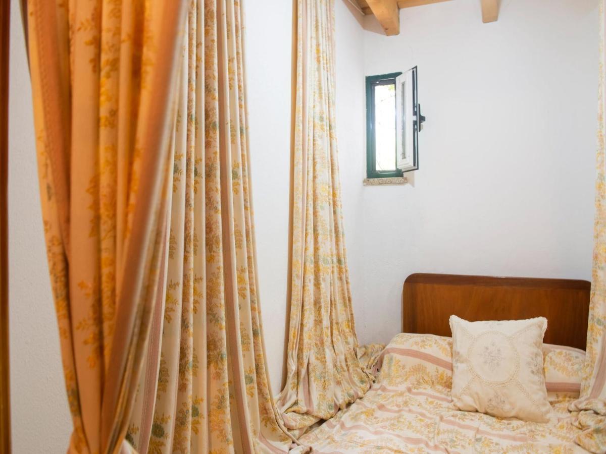 モンテモル・オ・ノボ House With Authentic Tiling And Antique Furnitureヴィラ エクステリア 写真